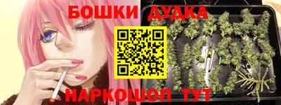 apvp Гусев