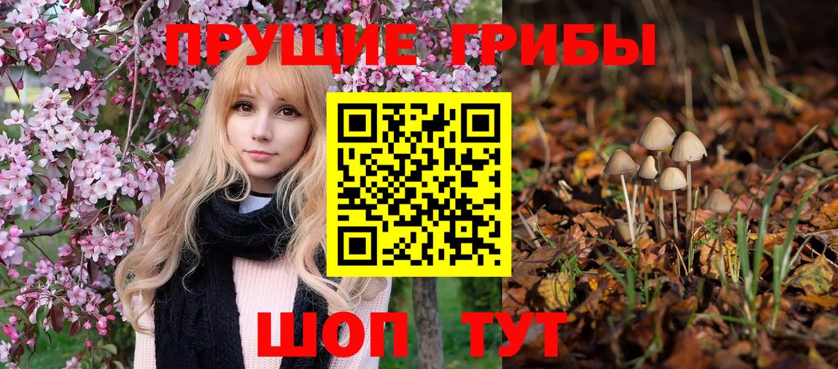 Галлюциногенные грибы мухоморы Коммунар